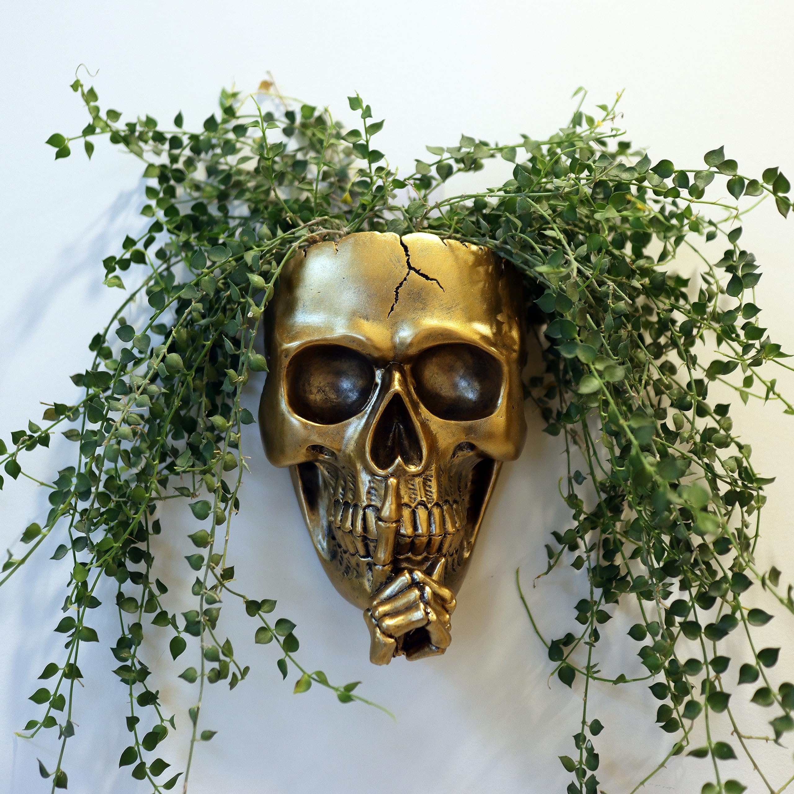 HASTHIP® Wall Planter, Gothic Skull Planter Golden Finish Resin Wall Hanging Planter, Halloween Garden Decor Room Decor, 12.5x19.5cm HASTHIP® Wall Planter, Gothic Skull Planter Golden Finish Resin Wall Hanging Planter, Halloween Garden Decor Room Decor, 12.5x19.5cm